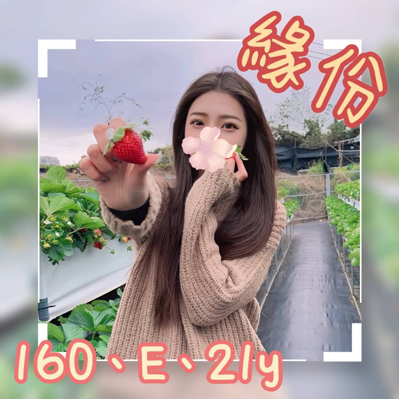 雲林定點魚妹 露露 168/36E/28 留學生